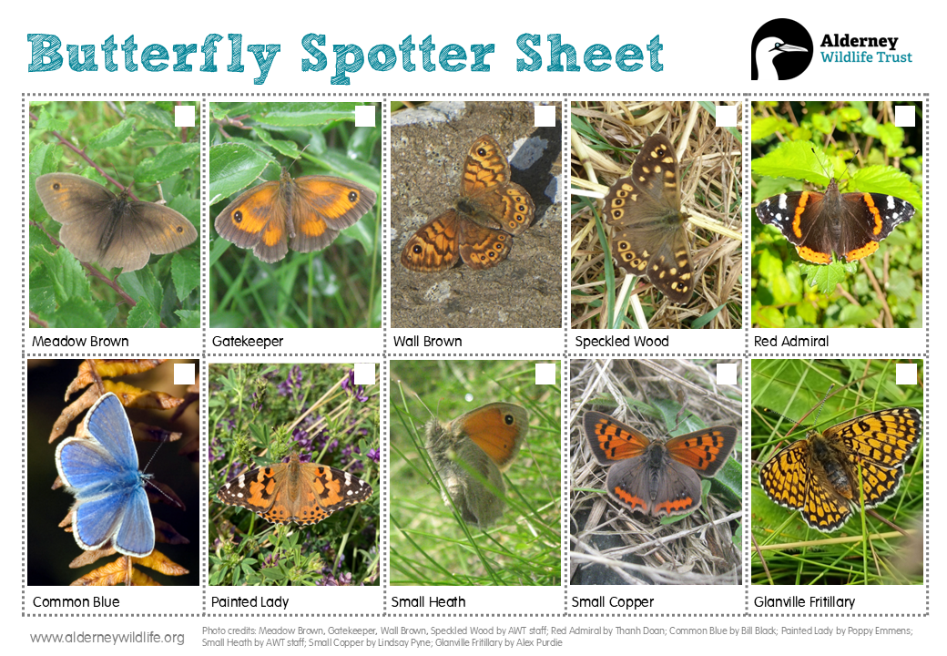 Education Resources | Alderney Wildlife Trust